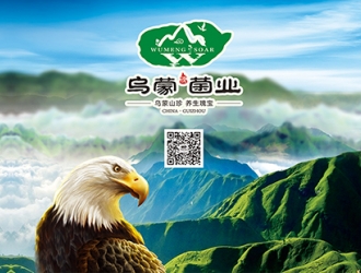 贵州乌蒙腾菌业有限公司参与协办2018第六届全国天麻会议暨宁强第二届天麻贸易洽谈会 ()