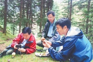 祁连山上的菌物“保卫战” ()