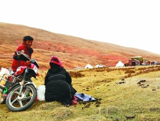 囊谦虫草二三事 ()