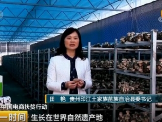 印江县委书记田艳为电商扶贫优质农产品“梵净蘑菇”代言 ()