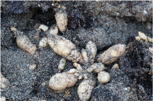 QQ图片20181108142548