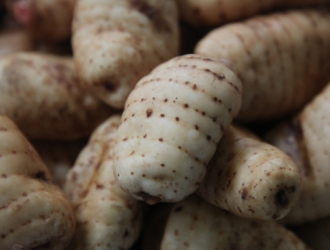 天麻“药食同源”申报取得重大进展　产业发展迎新机遇 ()