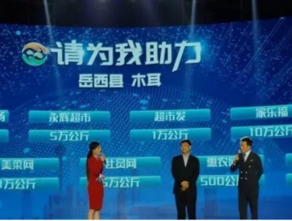 安庆岳西县委书记为木耳“代言”  获33万公斤"大订单" ()