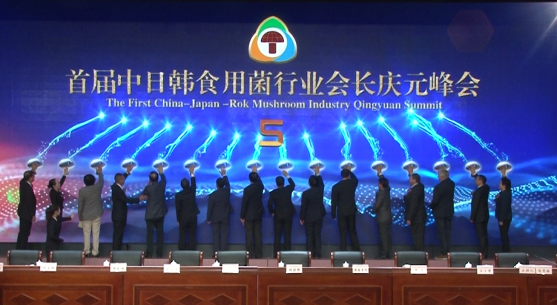 QQ截图20181110125031