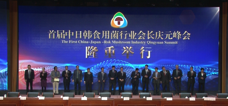 QQ截图20181110124951