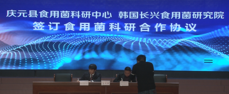 QQ截图20181110125938