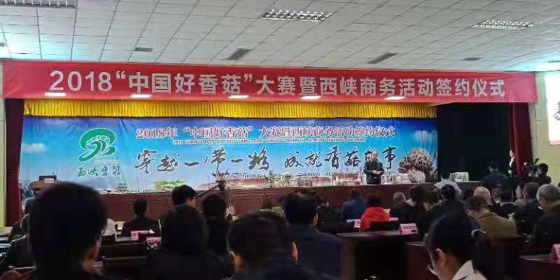 平泉市Manbetx体育手机版V17版本发布.官网安卓网.香港产业服务局梁希晨局长介绍平泉香菇