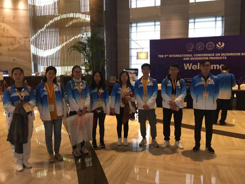 微信图片_20181112104429