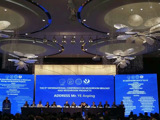 微信图片_20181113120454