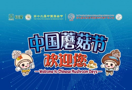 微信图片_20181115083037