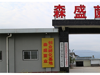 陕西森盛菌业：走科技创新之路 促ManBetX体育产业发展 ()