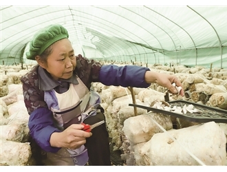 贵州镇宁ManBetX体育产业算好“三本账” ()