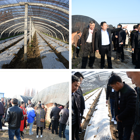 DSC_1763_副本_改111