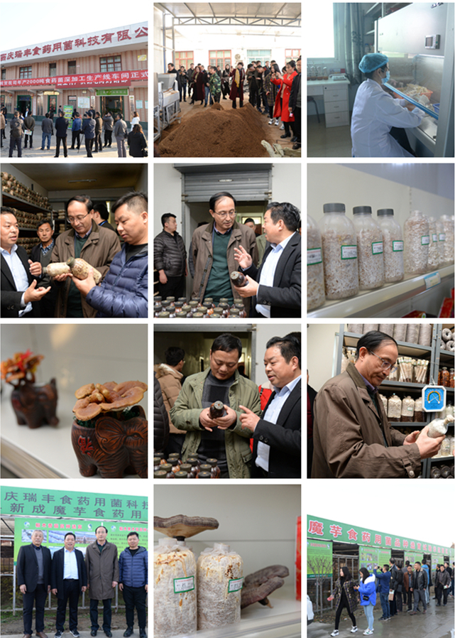 参观企业_副本改