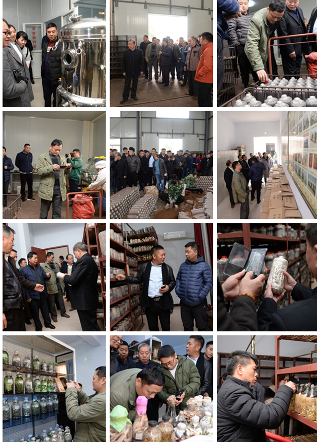 DSC_2097_副本_副本