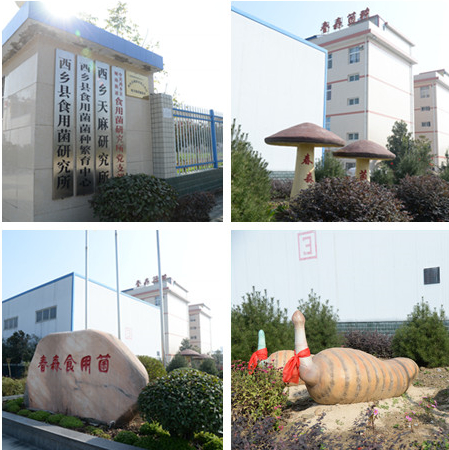 DSC_2470_副本_副本