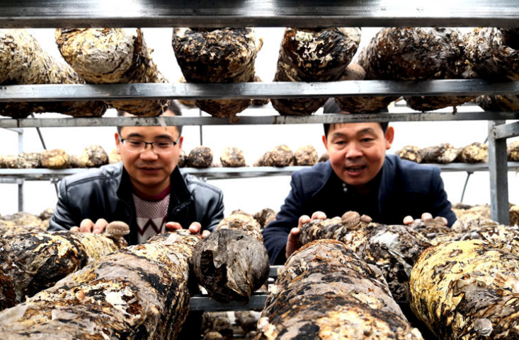 QQ截图20181203085916