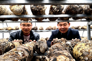 “三链”+“三变”康县迷坝乡发展特色产业助农增收 ()