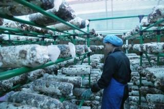 铜仁ManBetX体育产业异军突起 ()