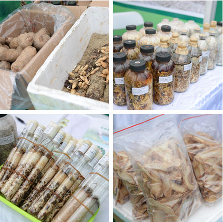 DSC_0521_副本_副本