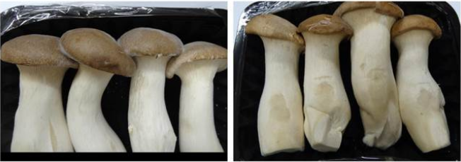 QQ图片20181207115226