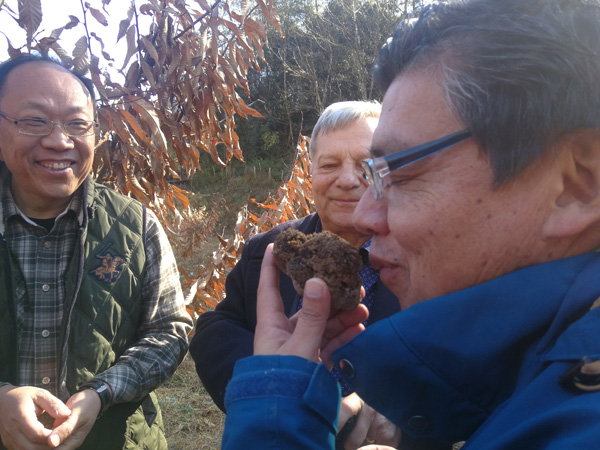 CqgNOlwF44aAClDNAAAAAAAAAAA593.600<em></em>x450