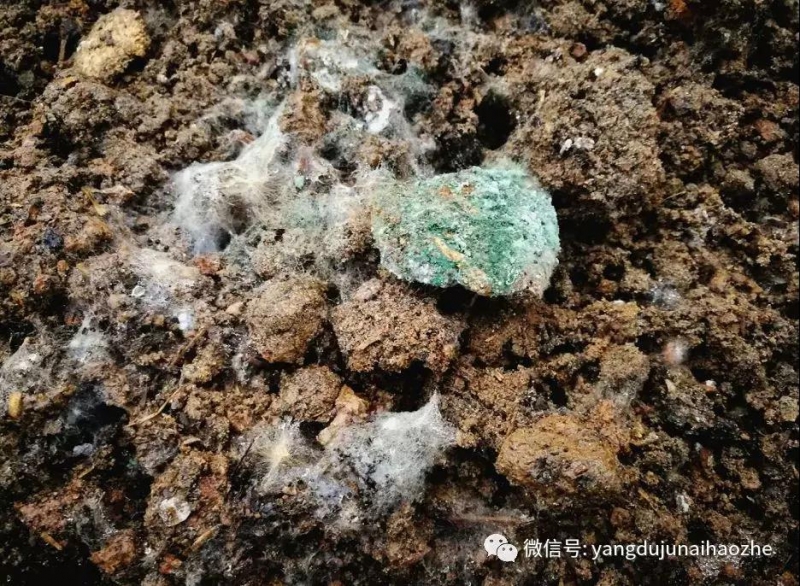 微信图片_20181208114849