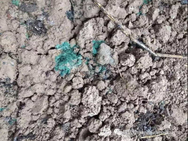 微信图片_20181208114853