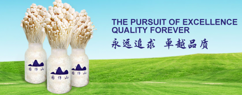 TIM截图20181211113817