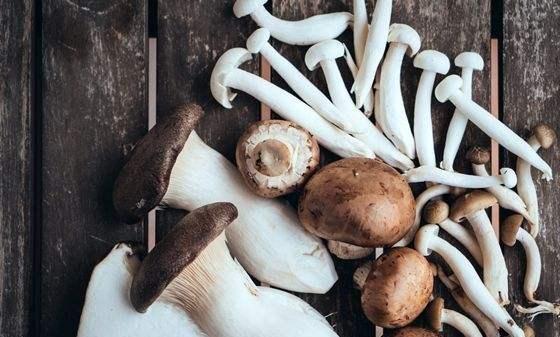 u=954690009,1949551797&fm=173&app=49&f=JPEG