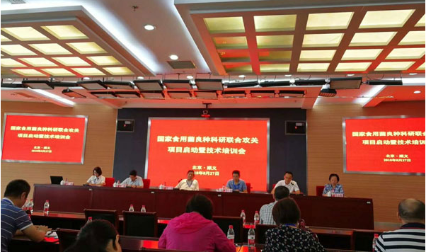 QQ图片20181213105724