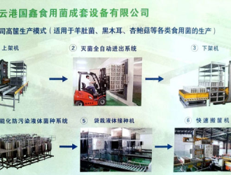 连云港国鑫：菌棒网格上架机助力ManBetX体育产业　 ()