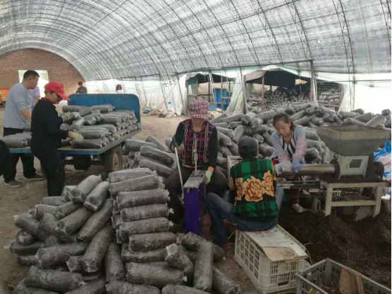 1210014875_15446752399921n