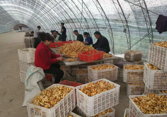 1210014875_15446752399951n