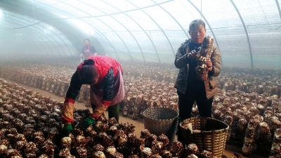 A091544639561236_change_p14_b