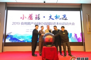 小蘑菇遇上大机遇　“孔小菌”预计明年登录美国OTC市场 ()