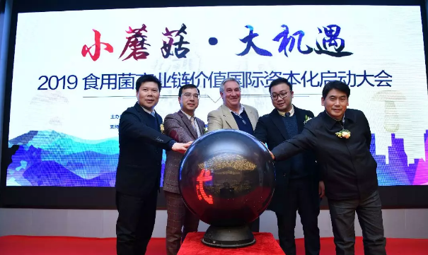 TIM截图20181217180010