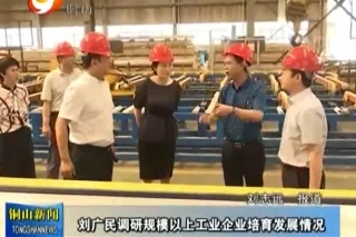 徐州：铜山区区长刘广民一行深入徐州财鑫铝制品有限公司调研 ()