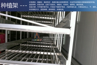 采菇方便　高度抗氧化　财鑫铝制品双孢菇种植架广受好评 ()