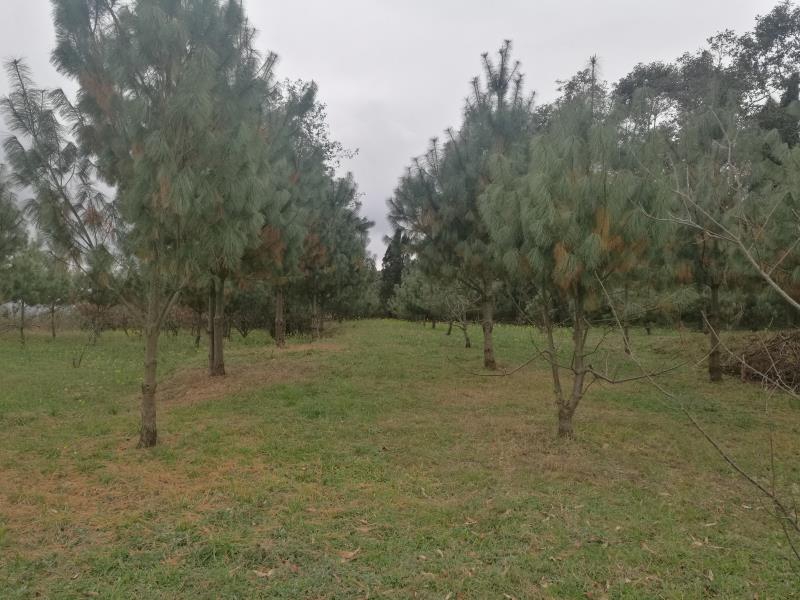 微信图片_20181219115621