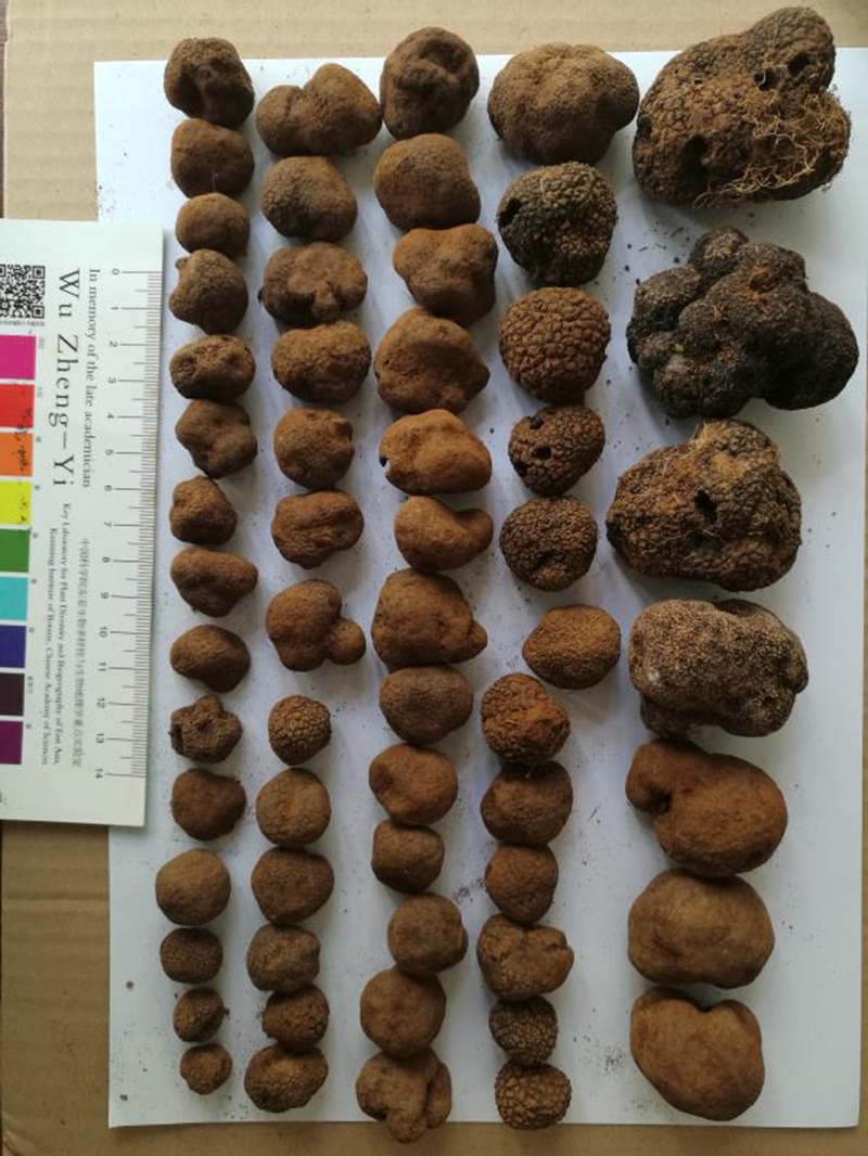 微信图片_20181219115639