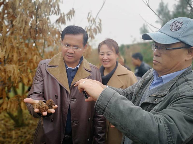 微信图片_20181219115631