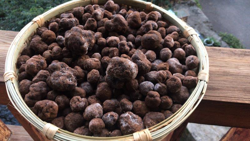 微信图片_20181219115657