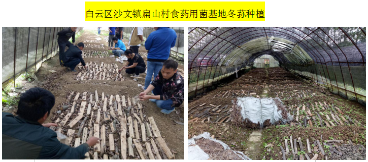 TIM截图20181219141326