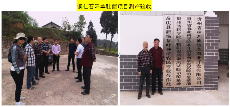 TIM截图20181219141403