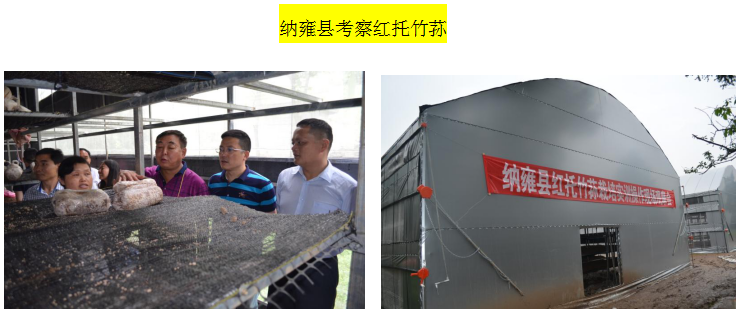 TIM截图20181219141432