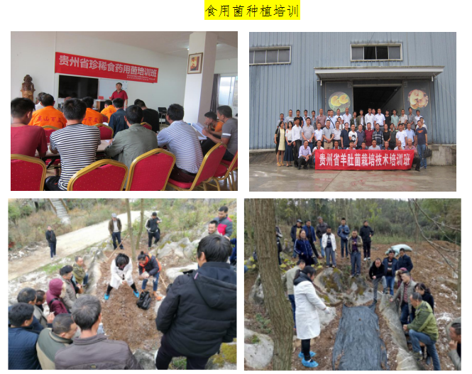 TIM截图20181219141529