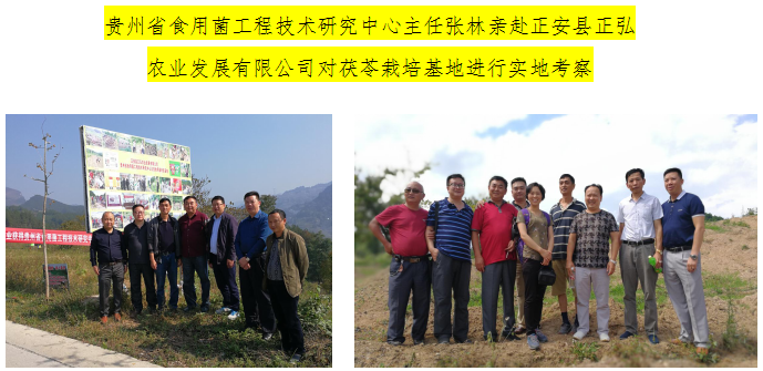 TIM截图20181219141546