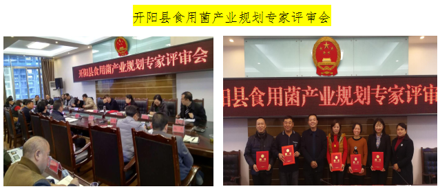 TIM截图20181219141601