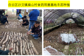 贵州ManBetX体育工程技术研究中心发布扶贫、教学与推广简报 多个项目成果喜人 ()